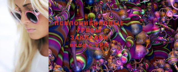 прущие крисы Пестово